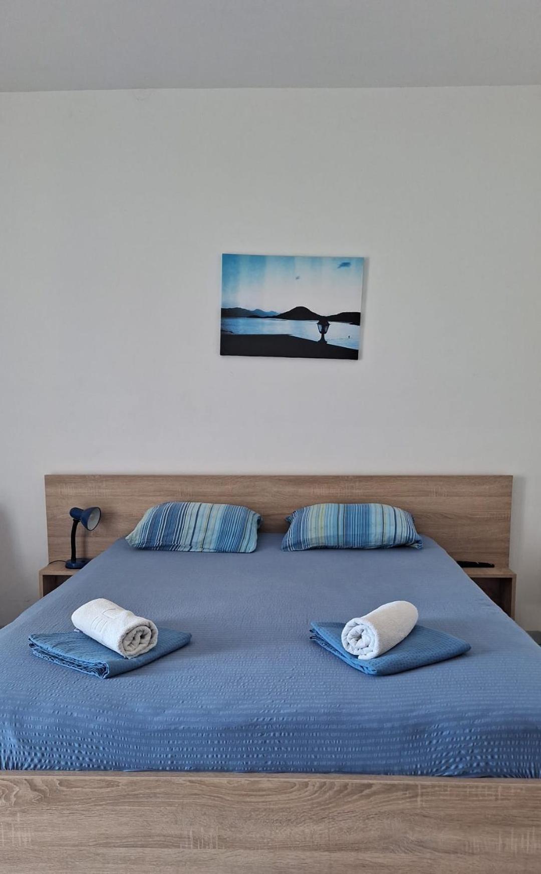 Villa Ante Apartments Blace Rum bild